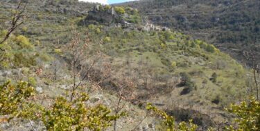 Des Cévennes à la Méditerranée
